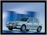 Srebrny, Volkswagen Golf 4