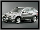 Bmw X5, E53